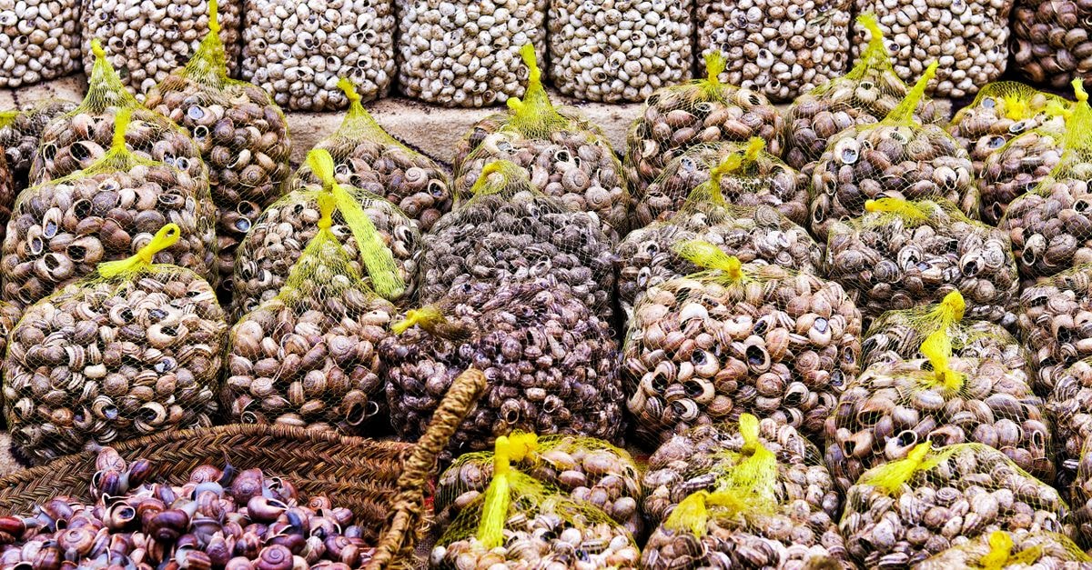 Hôtel Atlas Orient in Oujda: Garden Escape Near the Airport A vibrant display of net bags filled with fresh snails at a local market in Oujda, Morocco.