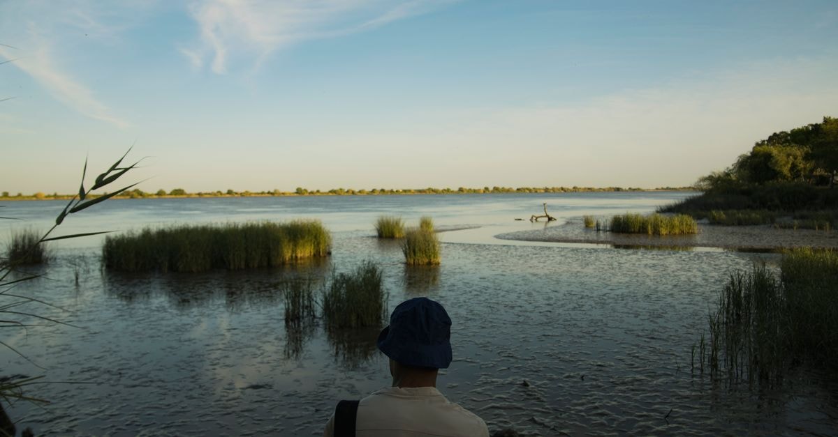 Mopti Travel Guide: River, Mud Mosques, and Grilled Capitaine A serene sunrise over a lake viewed from the back of a person, showcasing calm water and peaceful surroundings.
