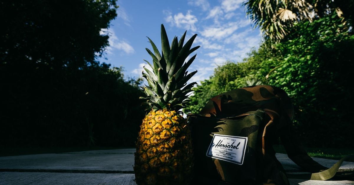 Baqubah Travel Guide: Harvest Rhythm and Iraqi Food Context Pineapple with a camouflage backpack on a sunlit path surrounded by lush greenery.