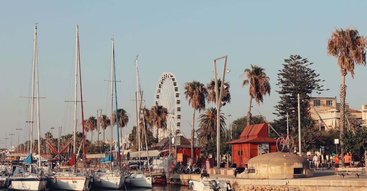 Tel Aviv travel guide: getting around and tasting the city Explore the picturesque harbor of Alghero, Sardinia with sailboats and palm-lined promenade.