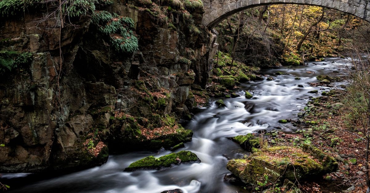 A Boise Travel Guide for River Walkers and Curious Explorers Tranquil creek flowing under a stone bridge in autumn, surrounded by vibrant foliage.
