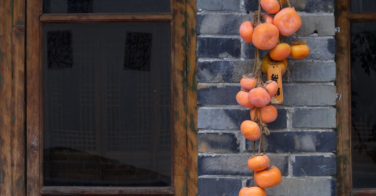 Clusters of dried persimmons hanging on a traditional brick wall with a wooden window frame.