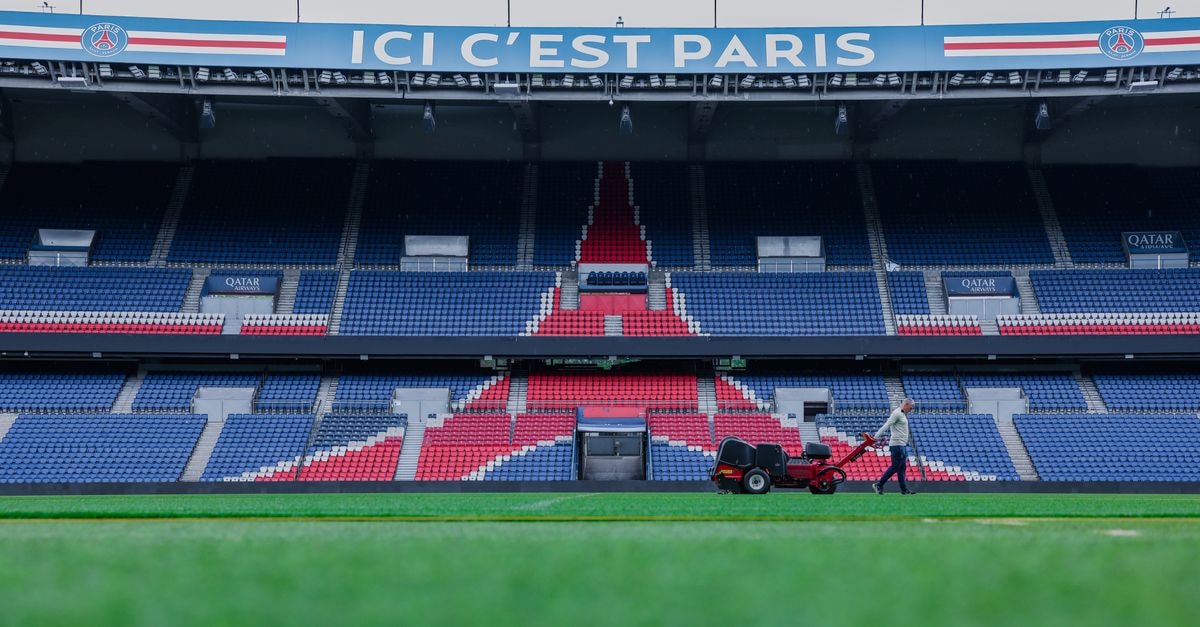 Lions lock Hyron Andrews found dead in France ahead of Champions Cup match with La Rochelle Gardener working on the field at Parc des Princes stadium, Paris. Vibrant and iconic sports venue.