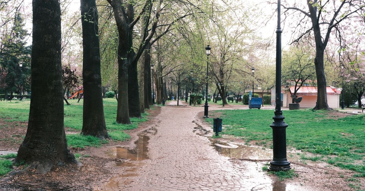 Rasht travel guide: rain, gardens, and gastronomy Rain-soaked park path with green trees and lampposts under a bright sky.
