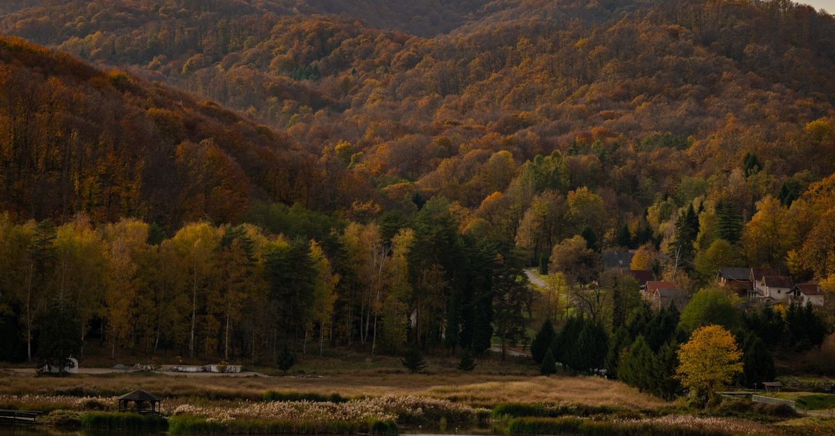Captivating autumn landscape with colorful foliage, serene lake, and hills in Podgarić, Croatia.