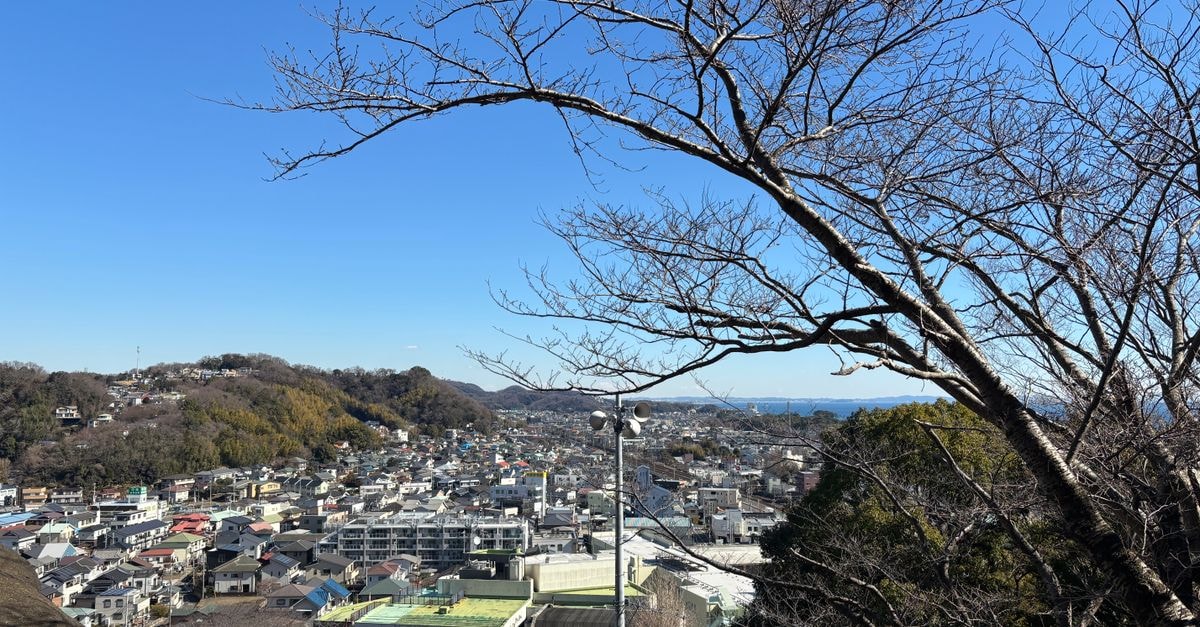 Okazaki New Grand Hotel in Okazaki: Castle-View Stay by the Oto River A panoramic view of a residential area with bare trees under a clear blue sky.