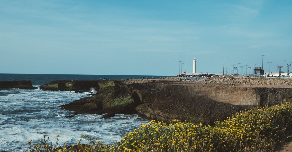 Beautiful coastal landscape with yellow flowers and lighthouse in the distance.