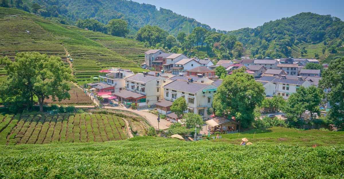 Chunian Travel Guide: Planning Tips, Costs and Things to Do A picturesque village nestled among verdant hills and tea plantations under a bright blue sky.