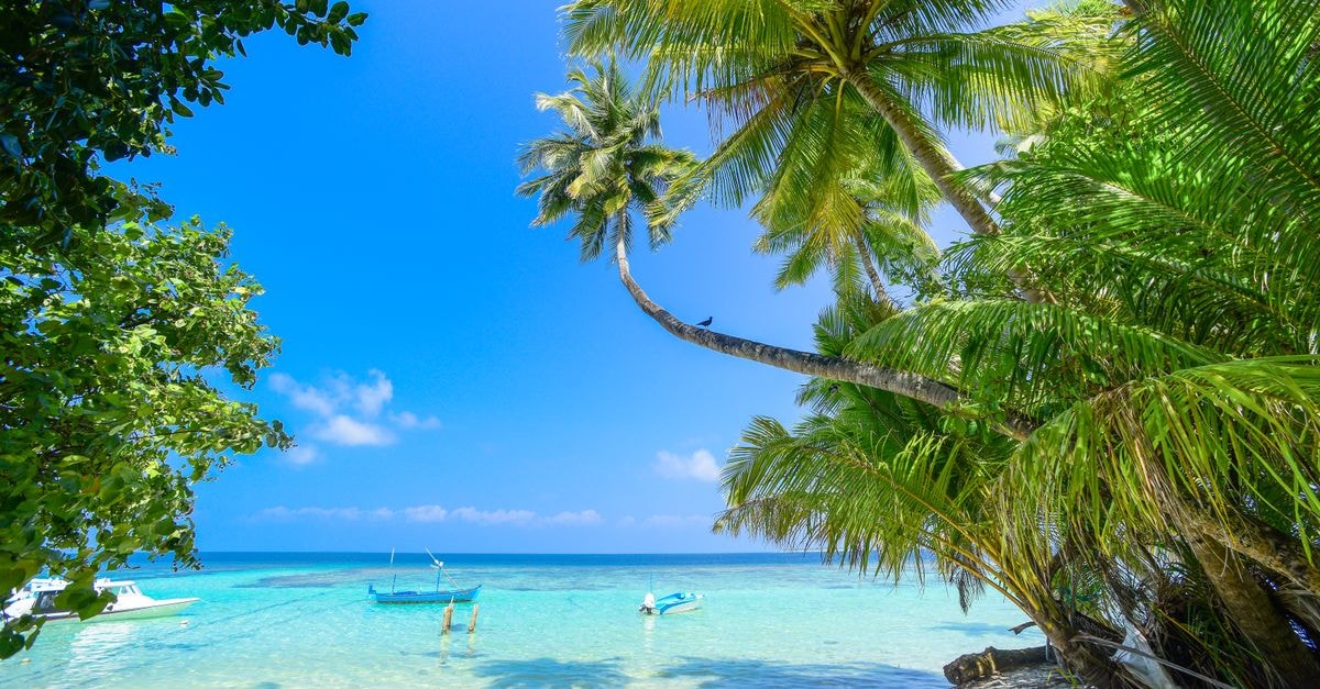 Fuvahmulah Travel Guide: Planning Tips, Costs and Things to Do Serene tropical beach with turquoise waters and lush palm trees under a bright summer sky.