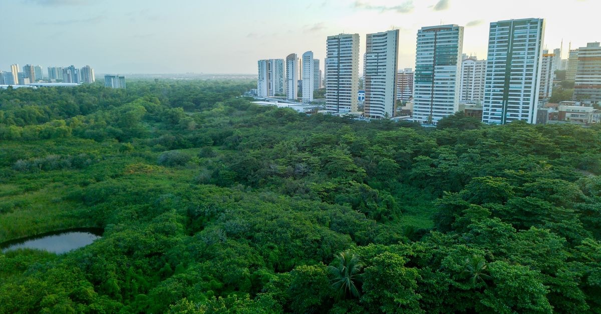 Hotel Costa Mar, Barranquilla — Steps from the Historic Heart A stunning view of Fortaleza's skyline bordered by lush greenery, showcasing urban and natural harmony.