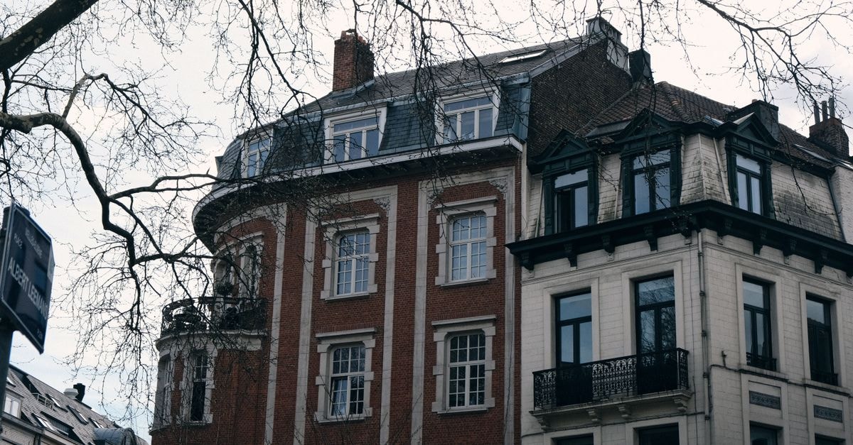 Classic Brussels cityscape featuring historic architecture and serene vibe in a winter setting.