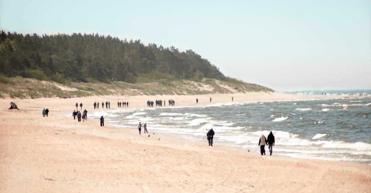 Panevezys Travel Guide: A Quiet Northern Lithuania Stop People walking along the serene Palanga Beach in Lithuania with gentle waves and a forest backdrop.