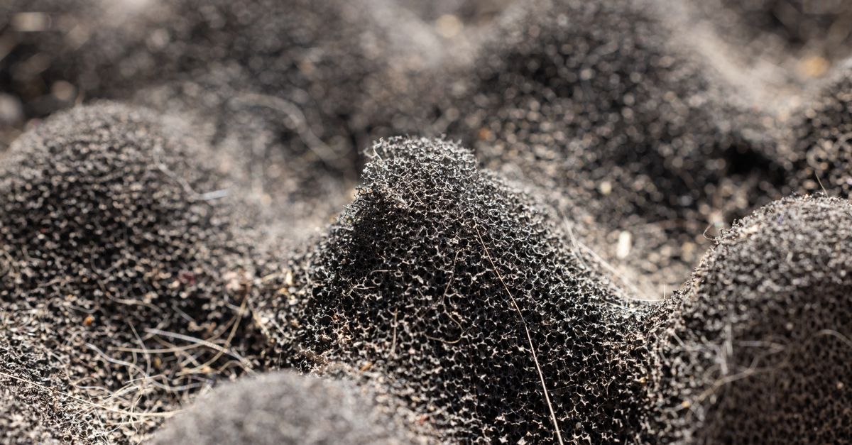Materials science advances span sponge-inspired metamaterials, bioplastic seagrass pods, and cellulose antifreeze Detailed close-up of a dark, textured synthetic sponge surface showcasing intricate patterns.