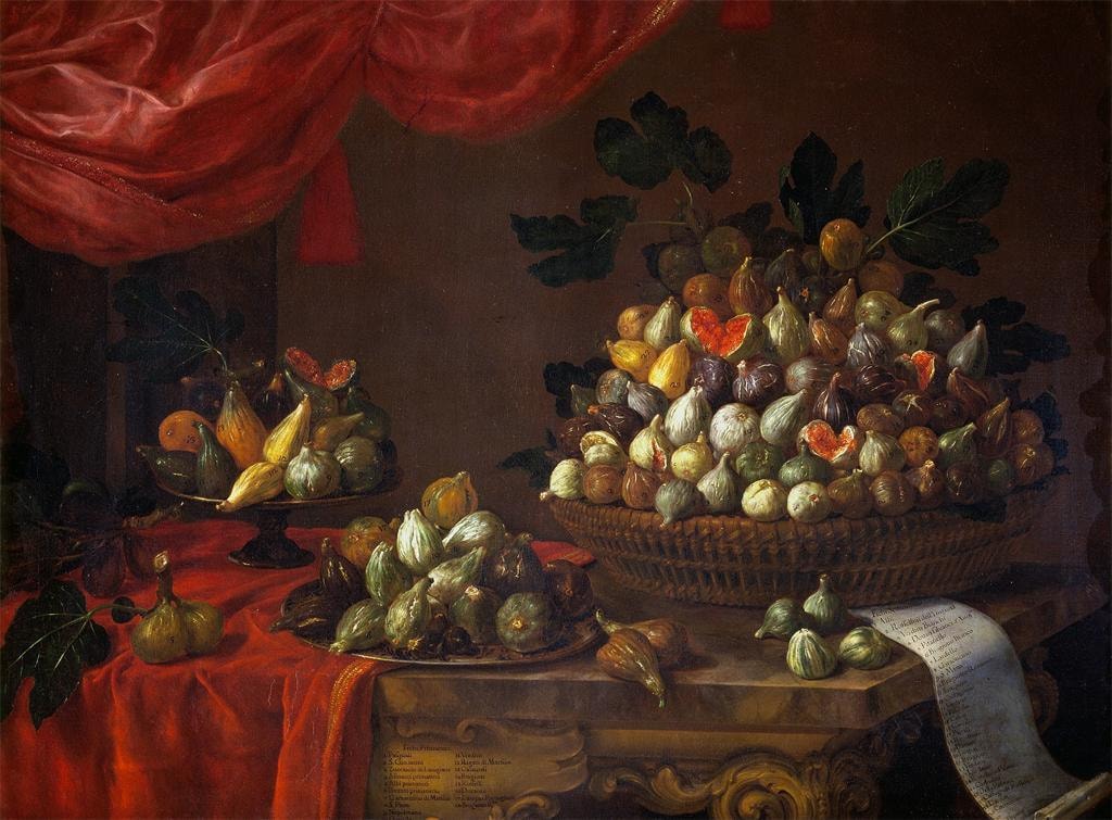 FIGS, Inc.: Premium Brand Meets a Premium Multiple Illustration for FIGS, Inc.: Premium Brand Meets a Premium Multiple: Bartolomeo Bimbi (figs).jpg