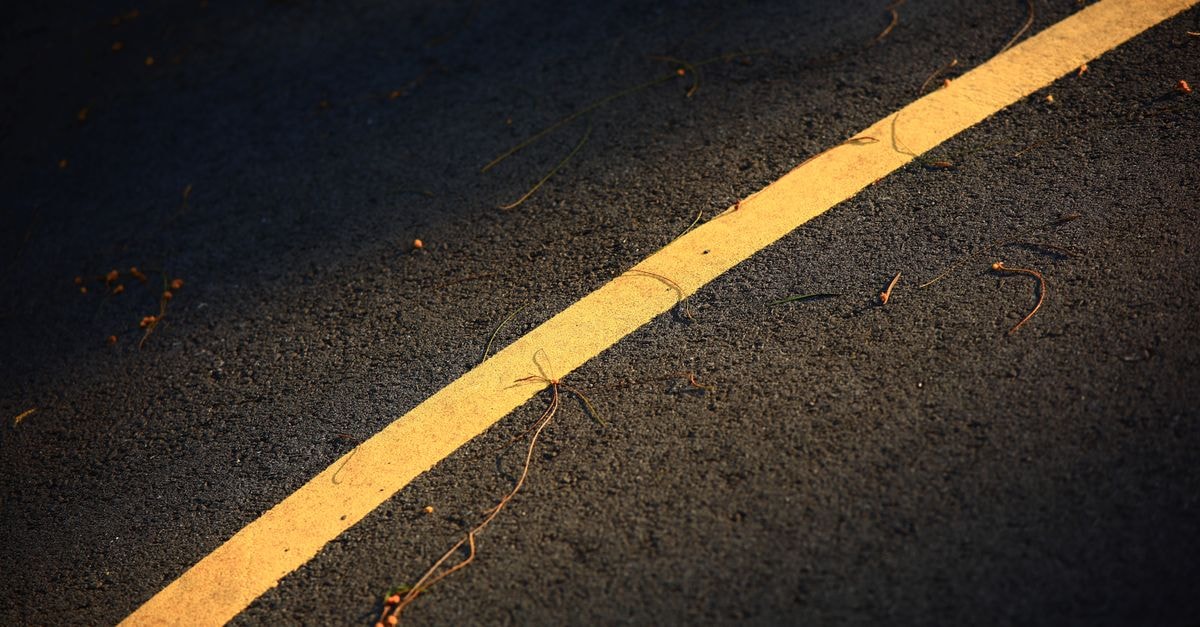 Yushan Hotel, Fuzhou: A Downtown Stay by Gulou's Historic Core Close-up of a curved yellow line on asphalt with scattered twigs, creating an abstract pattern.