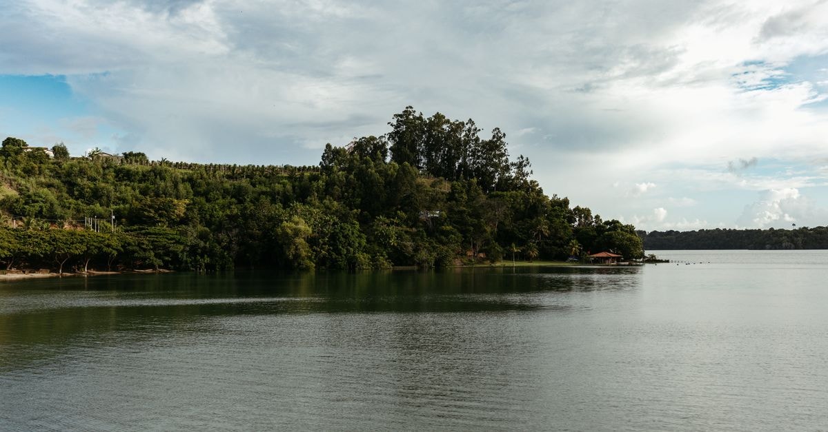 Entebbe Travel Guide: Lakeside Calm in Uganda's Garden City Tranquil lake surrounded by lush green hills under a bright cloudy sky.