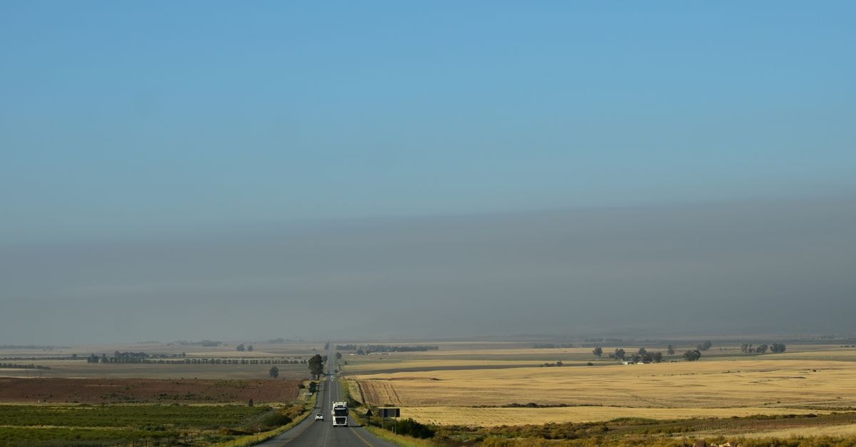 A tranquil rural highway stretches through the flat landscapes of South Africa under a clear blue sky.