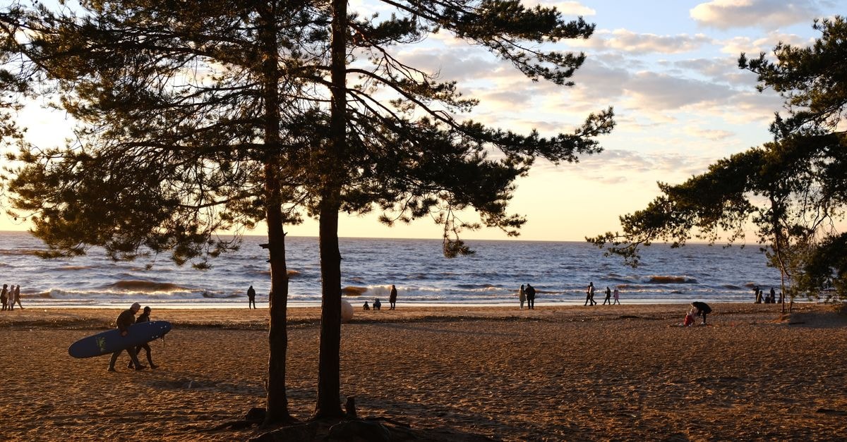 Liepāja Travel Guide: Planning Tips, Costs and Things to Do Distant people with surfboard strolling on sandy coast with growing trees near rippling sea against cloudy sky in summer time