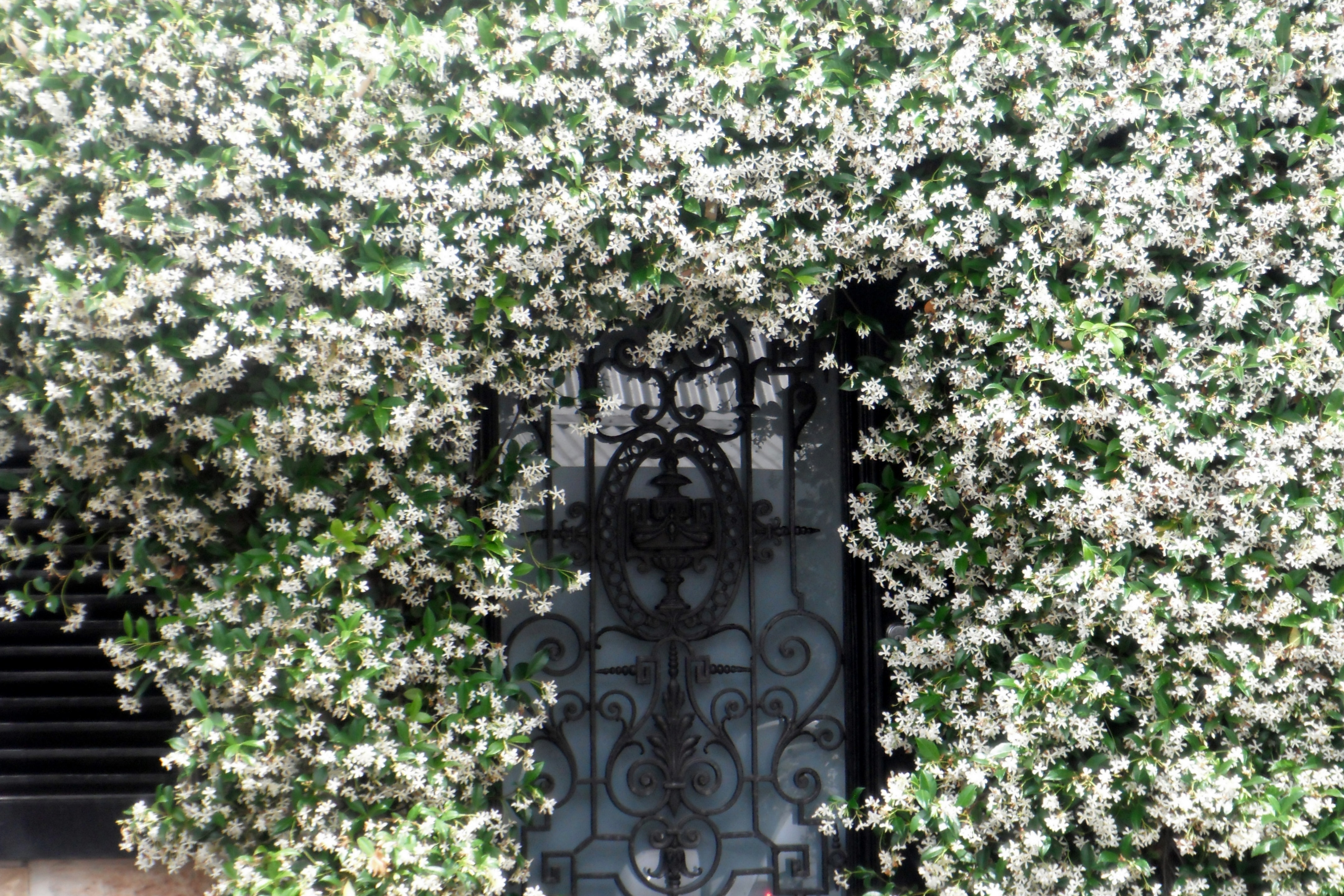 Frontdoor, Inc.: A Steady Home-Warranty Compounder at a Price That Already Discounts Decent Growth Illustration for Frontdoor, Inc.: A Steady Home-Warranty Compounder at a Price That Already Discounts Decent Growth: Frontdoor in Paddington Sydney.JPG