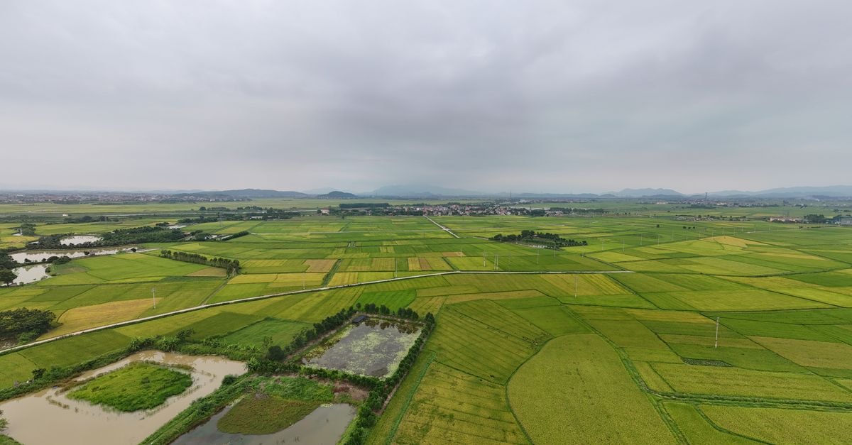 Tru by Hilton Bac Giang City Centre — Hilton’s Playful Newcomer in Bắc Giang Explore the lush green landscapes of Yên Dũng District in Bac Giang, Vietnam from an aerial perspective.