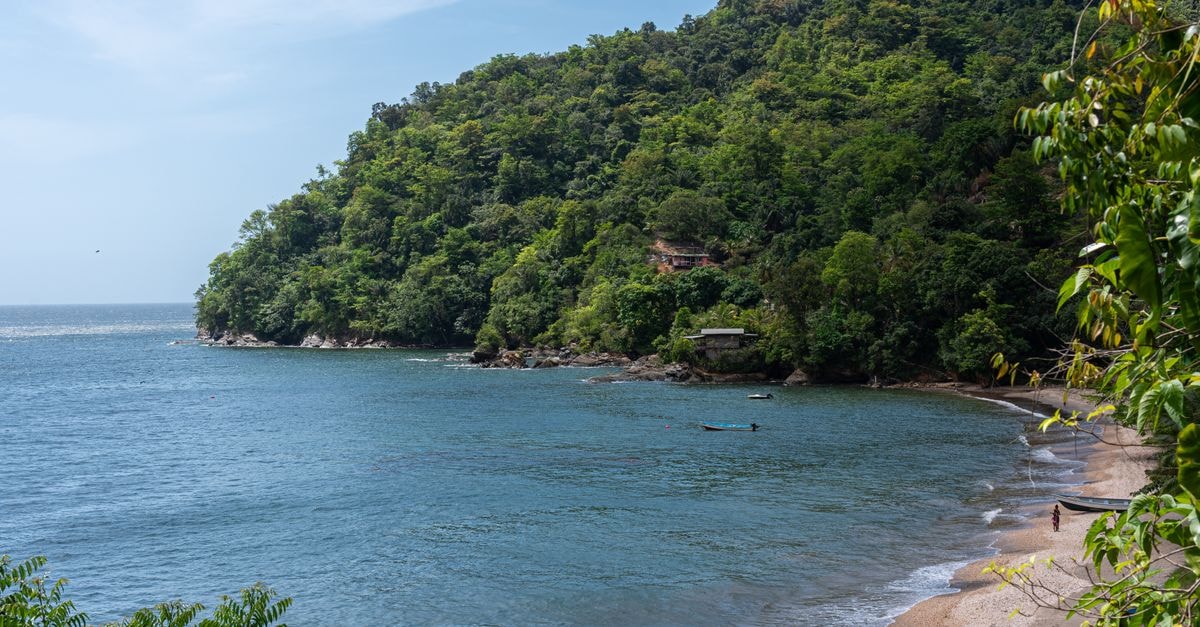 A tranquil view of Maracas Bay with lush greenery and clear blue waters in Trinidad and Tobago.