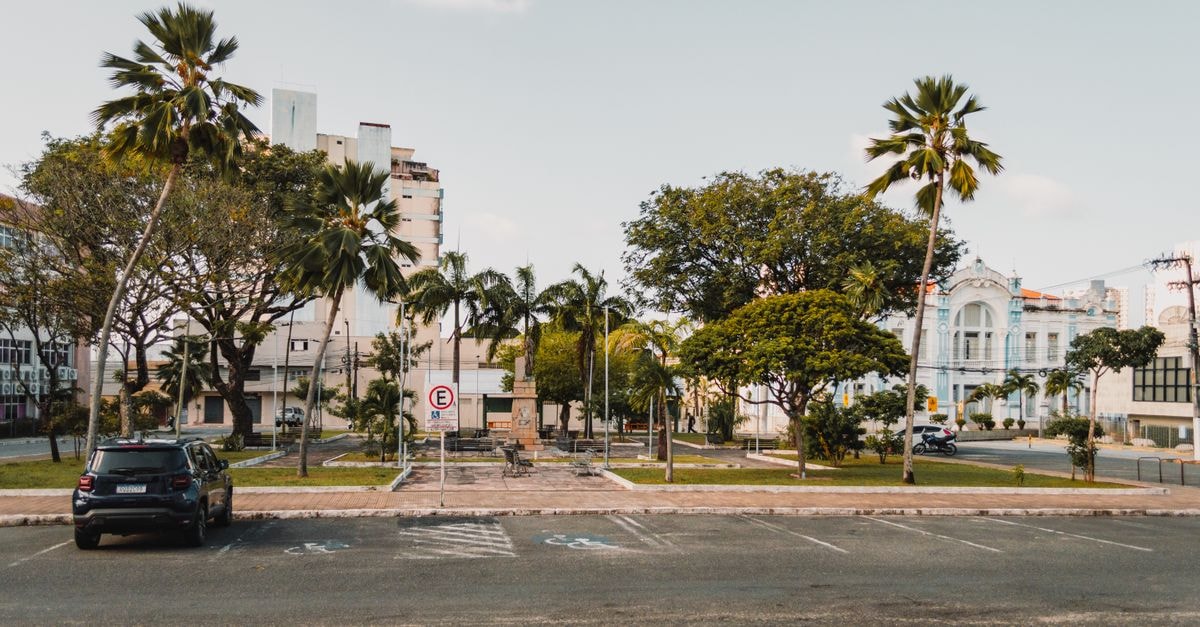 Azua Travel Guide: Planning Tips, Costs and Things to Do Peaceful street in Natal, Brazil, with palm trees and parked cars, offering urban tranquility.