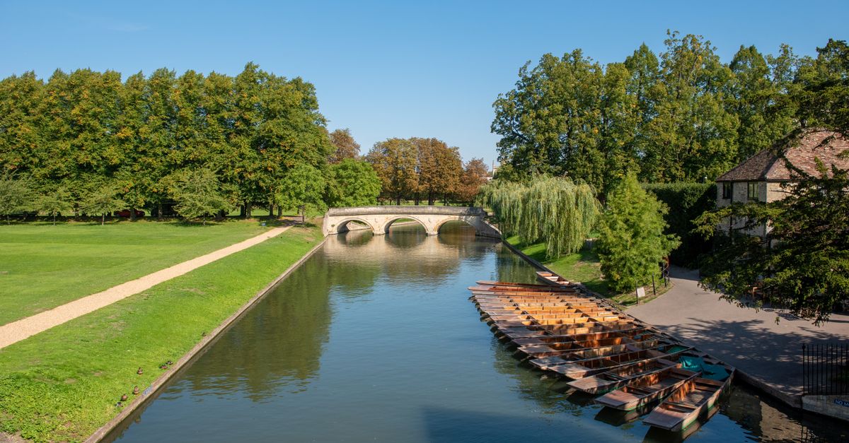 Cambridge in July 2026: A Practical Travel Guide for Festivals, Punts and Colleges Tranquil summer scene of a river, bridge, and boats in a lush green park under a clear blue sky.