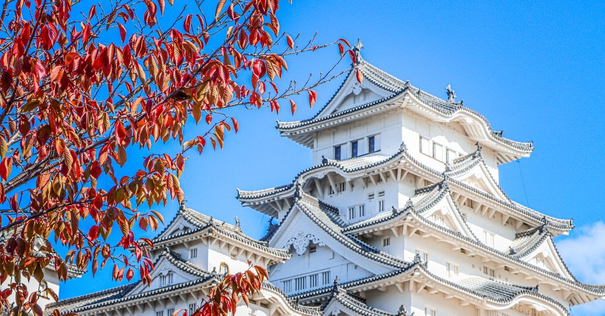 Dormy Inn Himeji in Himeji: A Natural Hot Spring Steps from the Station A stunning view of Himeji Castle with vibrant autumn leaves against a clear blue sky.