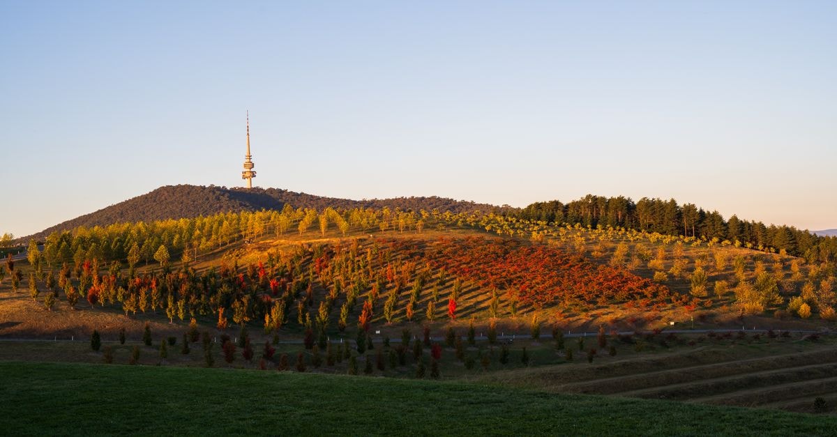A breathtaking view of Black Mountain Tower surrounded by colorful foliage during sunset in Canberra.