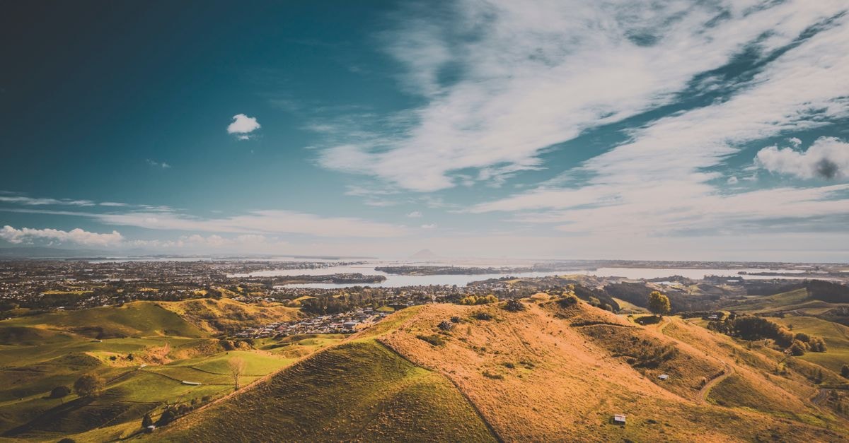 Palmerston North Travel Guide: Getting Around and Eating Well Beautiful aerial view of the rolling hills and cityscape in Tauranga, Bay of Plenty, New Zealand.