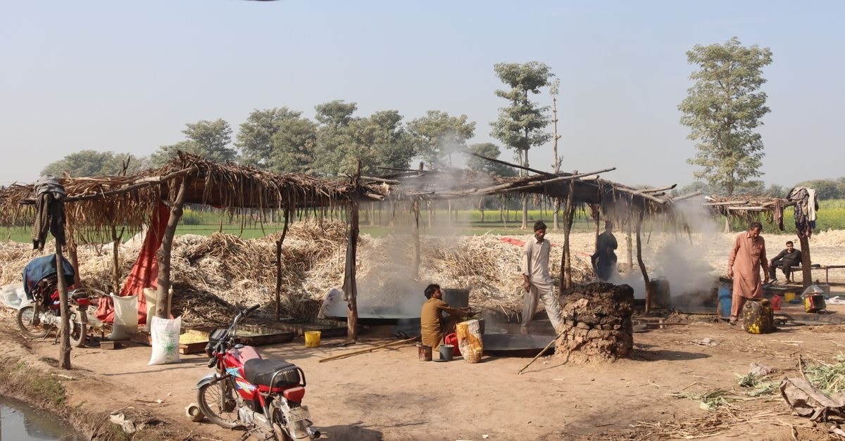 Men producing sugarcane juice in a rural outdoor setting on a sunny day.