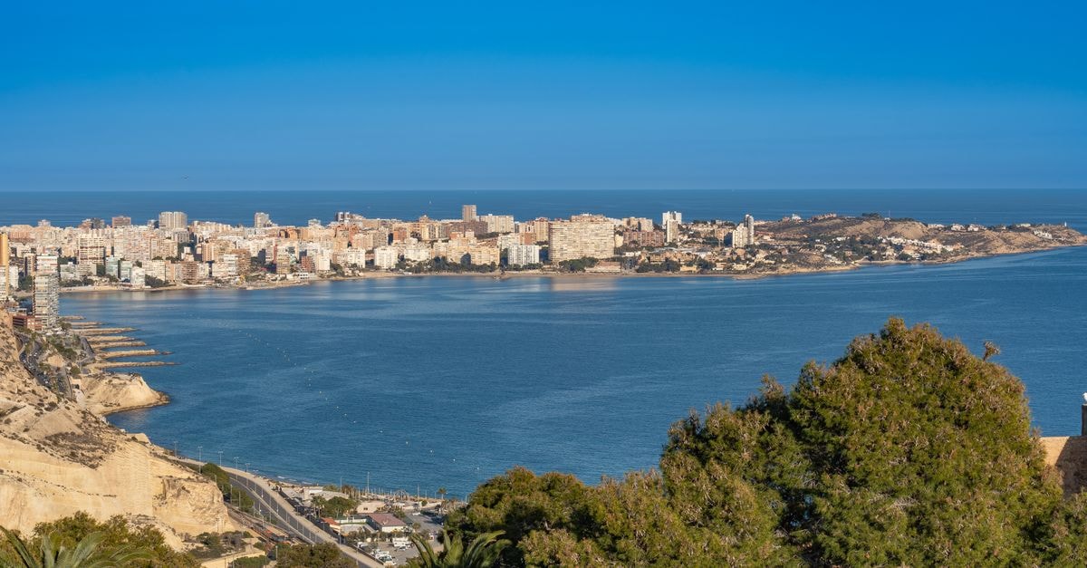 Eurostars Mediterranea Plaza in Alicante: A Plaça de l'Ajuntament Address Stunning panoramic view of Alicante's coastline with clear blue skies and lush greenery.