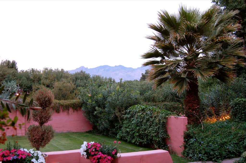 Arizona Inn garden.jpg