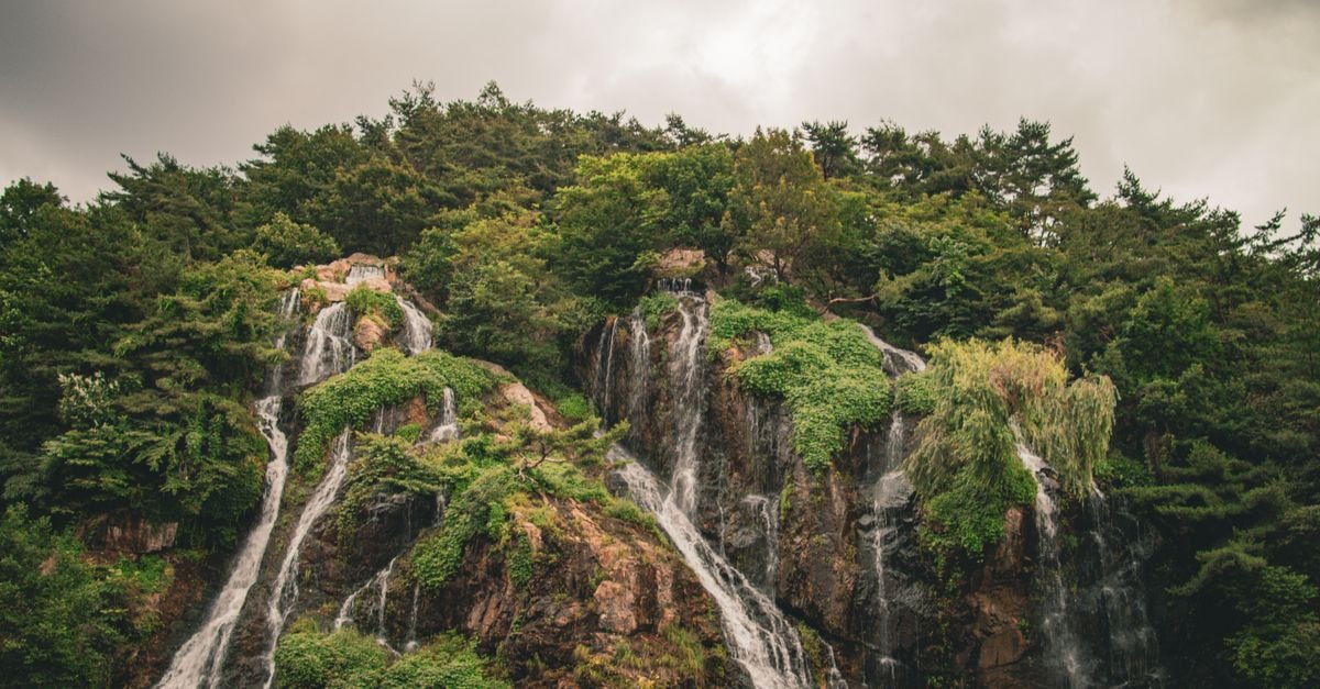 Stunning waterfall tumbles over lush, green cliffs amid a serene forest landscape in Seoul, South Korea.
