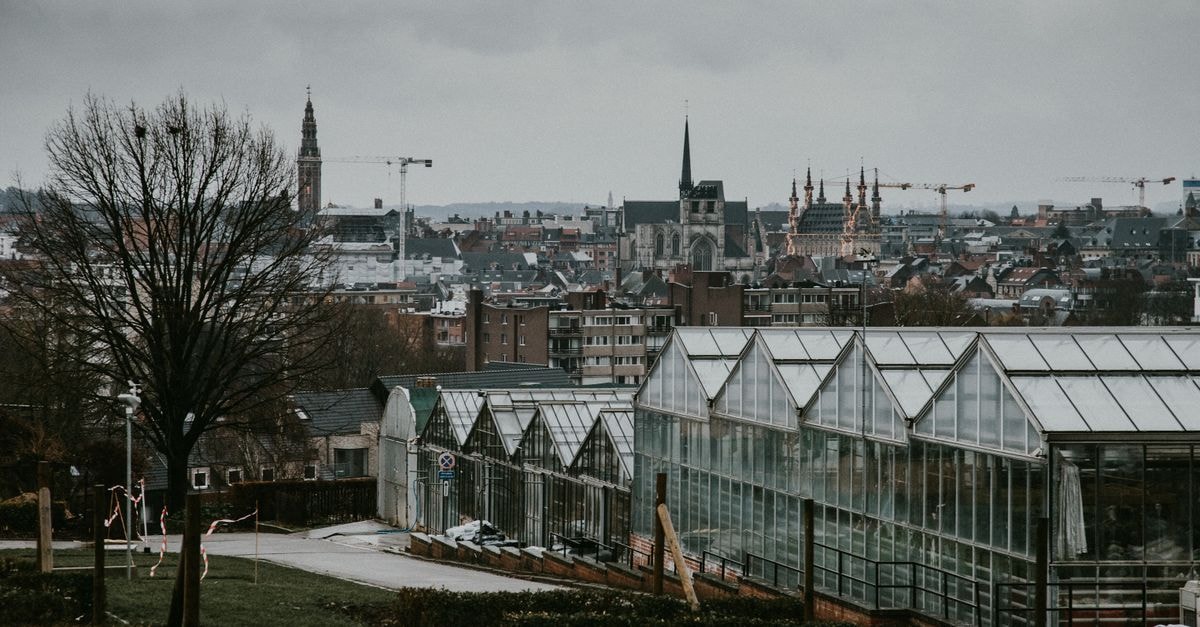 Hotel de Gulden Waagen, Nijmegen: A Historic Stay on the City's Oldest Shopping Street A scenic urban landscape featuring greenhouses and historic Gothic architecture under cloudy skies.