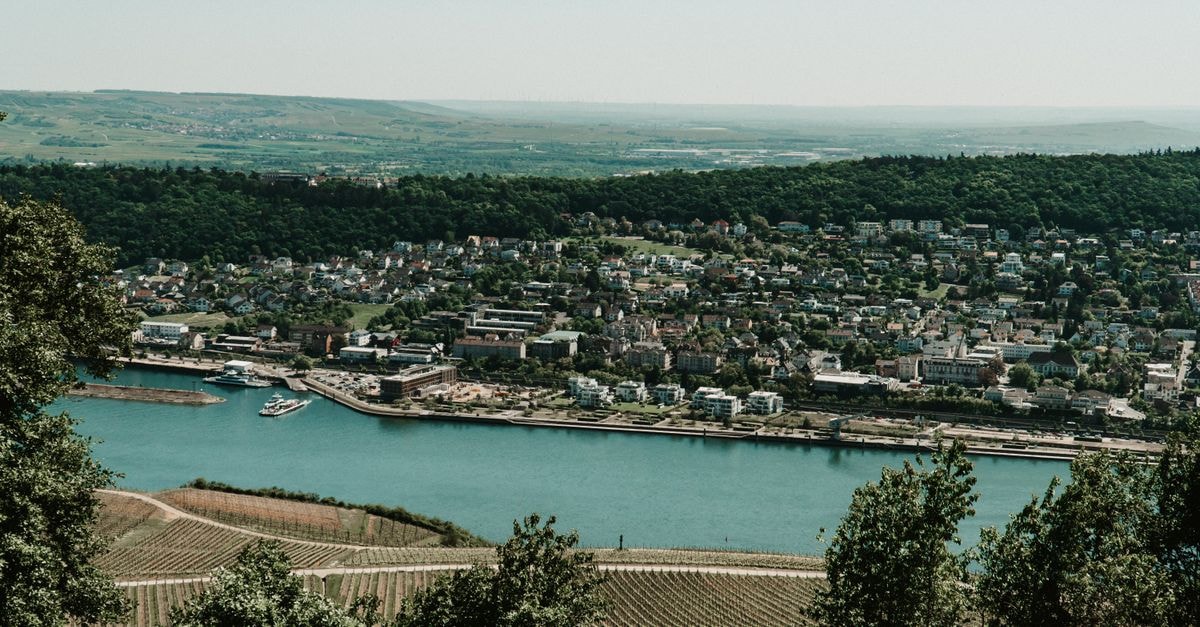 Overhead view of Rüdesheim am Rhein, Germany with lush vineyards and the Rhein River in summer.