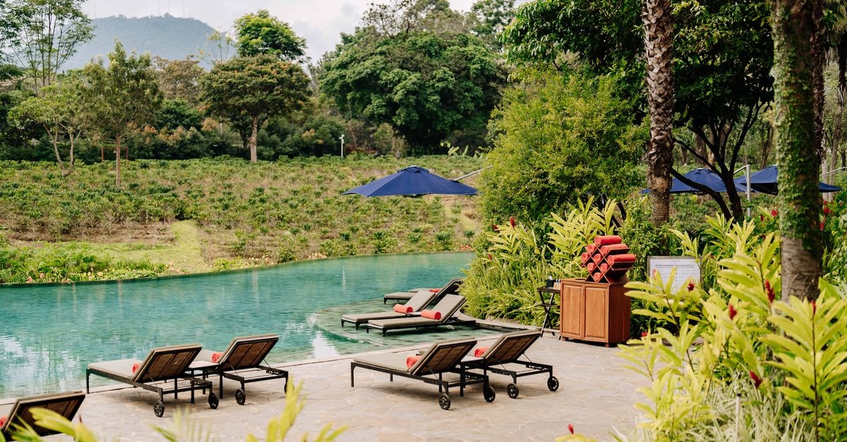 Serene outdoor pool with sun loungers amidst lush greenery in Arusha, Tanzania.
