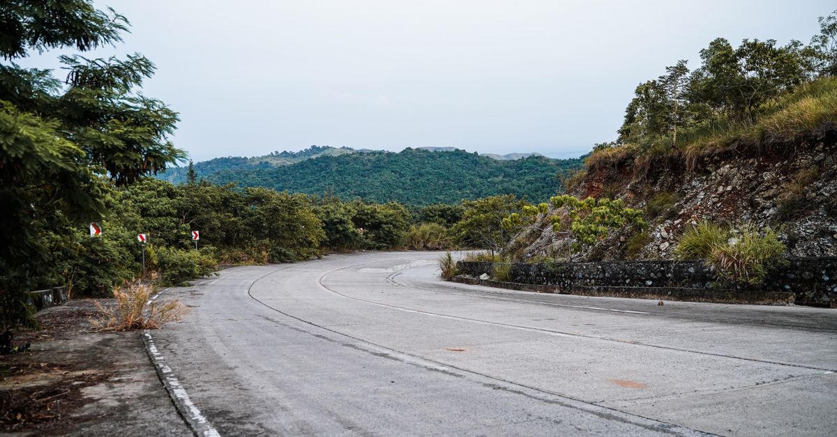 A Bright Welcome in Laoag: A Practical Ilocos Travel Guide A winding road through lush greenery in Mangatarem, Ilocos Region, ideal for travel and adventure imagery.