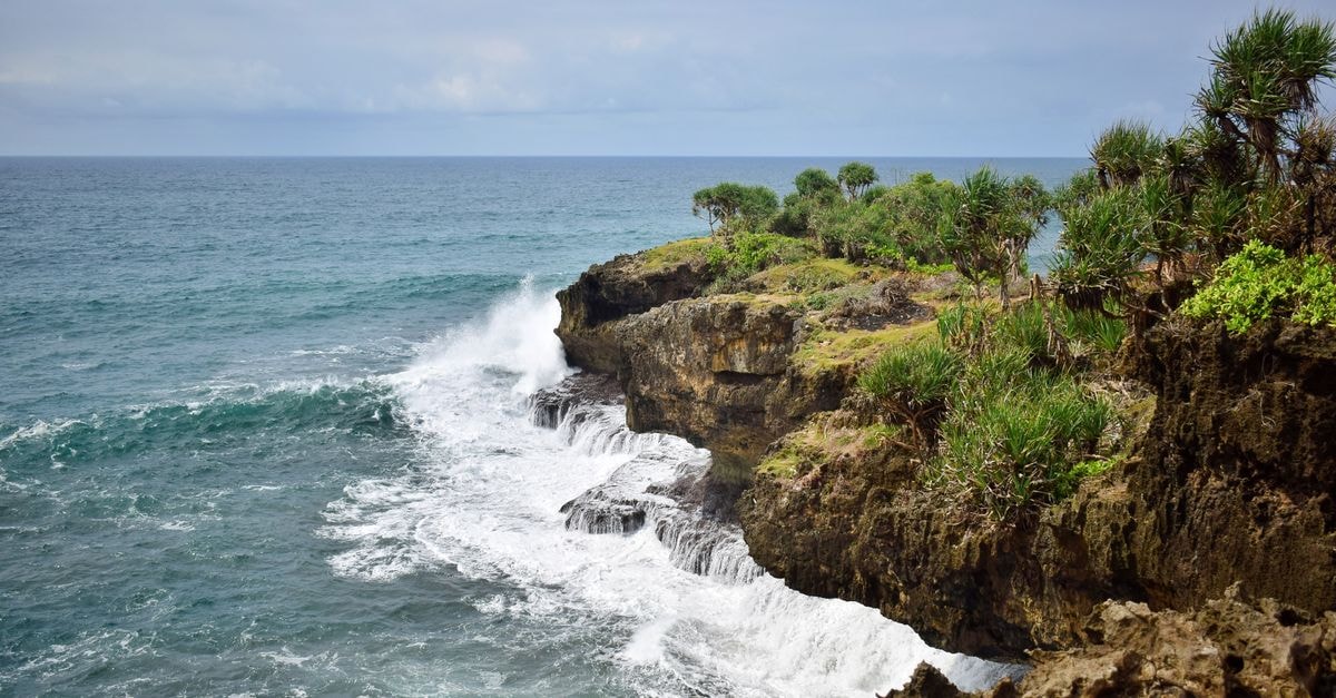 Sumbawanga Travel Guide: Planning Tips, Costs and Things to Do Panoramic view of ocean waves crashing against a rocky cliff with lush green vegetation, showcasing nature's power and beauty.