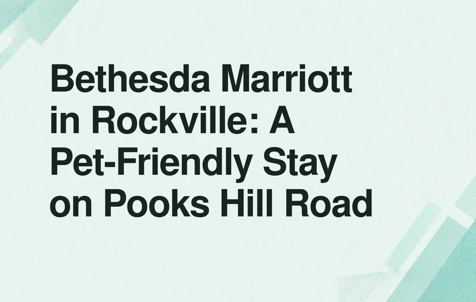 Bethesda Marriott in Rockville: A Pet-Friendly Stay on Pooks Hill Road News illustration: Bethesda Marriott in Rockville: A Pet-Friendly Stay on Pooks Hill Road