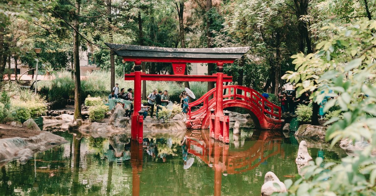 Coyoacán travel guide: a slow wander through Mexico City's bohemian soul A tranquil Japanese garden featuring a vibrant red bridge and classic Torii gate over a reflective pond.
