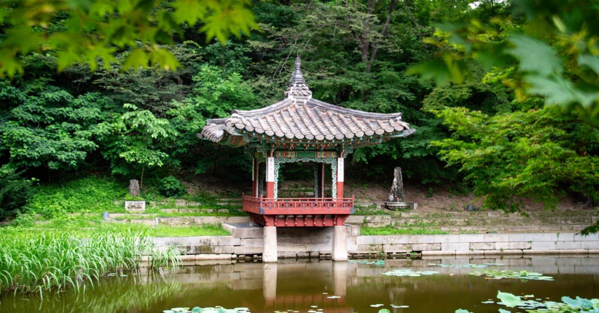 Yongji Travel Guide: Lotus Pond Park and Dining Context Serene view of a traditional Korean pavilion in a lush Seoul garden with a pond.