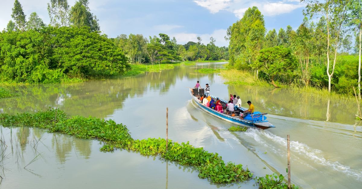 A vibrant boat ride through lush greenery in Manikganj, Bangladesh showcases natural beauty.