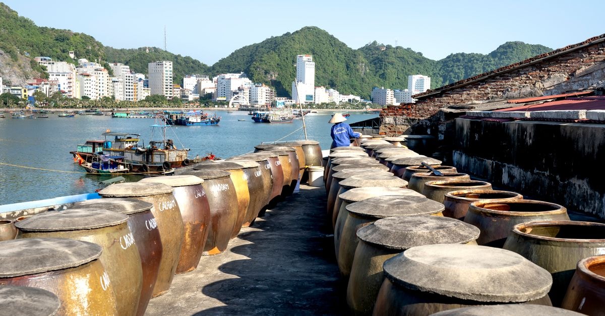 Blue Hanoi Hotel in Hai Ba Trung: 20 Rooms Tied to Vietnamese Cultural Identity Panoramic view of Cat Ba Island harbour with large jars and fishing boats under a clear sky.