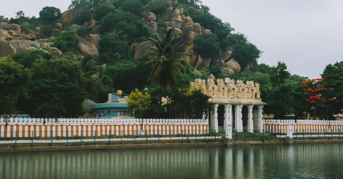 Picturesque view of Shravanabelagola temple pond surrounded by lush greenery and rocky hills.