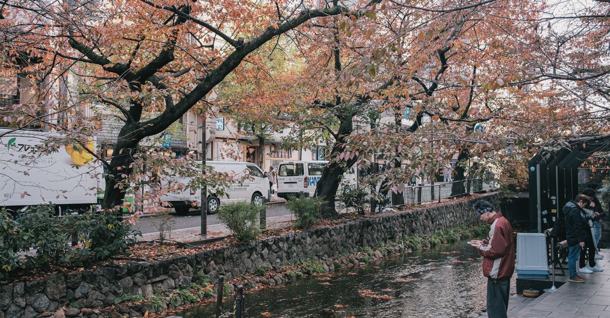 Man standing by a stream amidst autumn trees in urban setting.