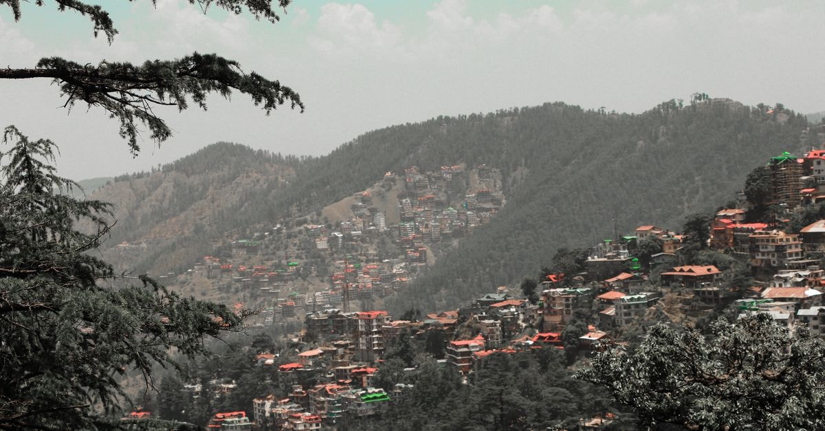 Woods Shimla in Shimla: A Circular Road Address Capture of Shimla's vibrant landscape with hills and dense buildings.