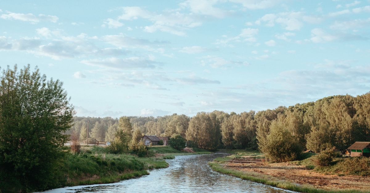 River in Cherepovets: A Nine-Room Hotel with a Vologda Breakfast A tranquil river winding through lush greenery under a clear blue sky.