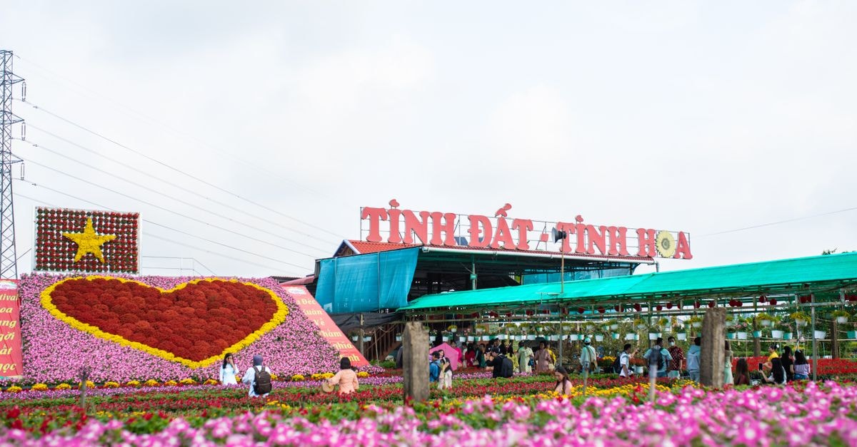 Bình Minh Hotel in Ha Tinh: A Central Pick on Trần Phú Street Vibrant flower display with heart and star design in a bustling outdoor market.