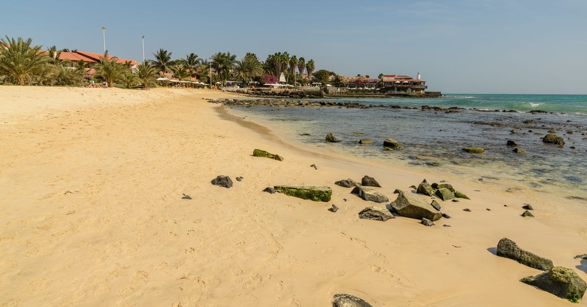 Sunny day on a tropical beach with palm trees, sandy coast, and rocky shoreline.